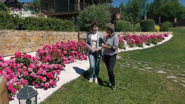 ПОСАДКА РОЗ ГРУППАМИ. Наталья Петренко / Елена Иващенко