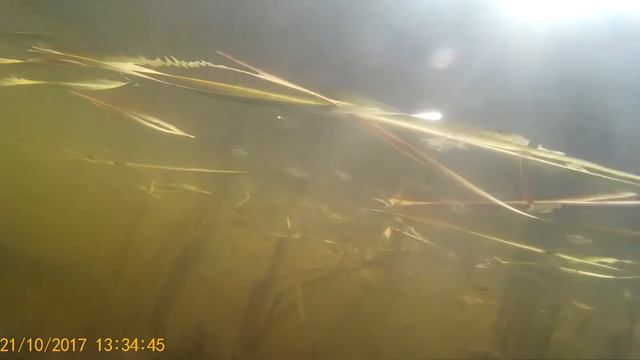 отмель в шнурках смотреть онлайн