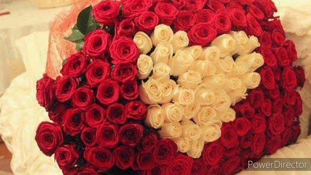 8 март харом мебошад бародарон смотреть онлайн