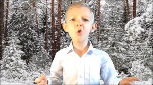 Стихи про зиму  Тютчев Ф.И. "Чародейкою Зимою"