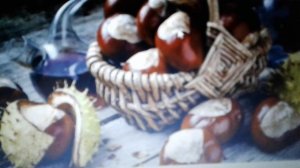 Масло конского каштана:применение, польза и вред.