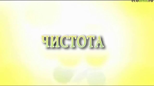 Ecodish.ru и Frybest: экологичная посуда
