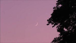 Молодой месяц на небе. Луна растет. 23.06.2020. / New Moon