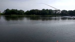 Фидер в мае Москва река Коломна Московская область