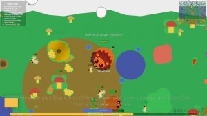 Mope.io - RARE ANIMALS TROLLING!! Mope.io New Rare Animals