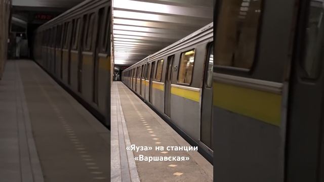 Метропоезд «Яуза» на стации «Варшавская»