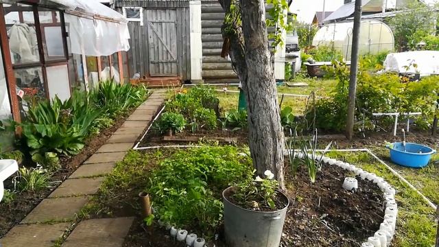 28. Прочистила часть участка от сорняков, отдыхаю. смотреть онлайн