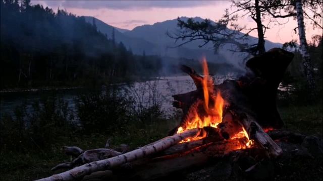Полуночный человек. Страшные истории