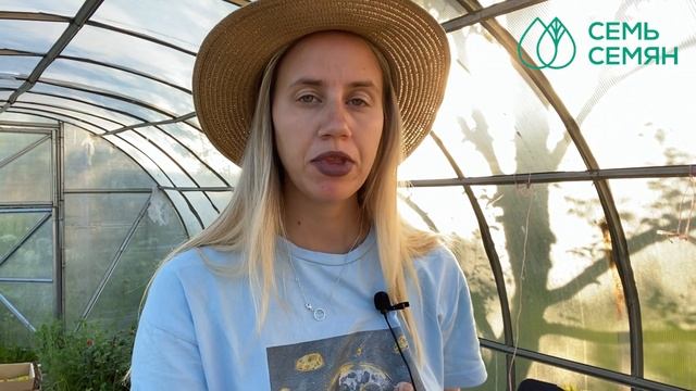 Откуда берется вершинная гниль и как не допустить ее появления на плодах!