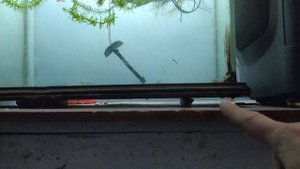 АКВАРИУМ ЛОПНУЛ