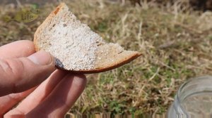 Вот это жооор! Просто насыпала немного этого на хлеб! Карась клевал до ночи.  Ванилин для рыбалки