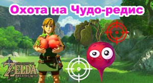 Фарм Чудо-редис и Суперредис - 7 локаций. The Legend of Zelda: Breath of the Wild. Nintendo Switch