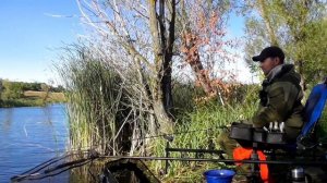 Фидер в сентябре . Кормится ли лещ на мелководье осенью.