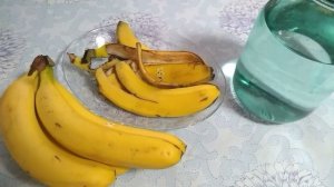 Настой банановой кожуры? Натуральное удобрение без затрат✔️?? #ВиленаЦветкова