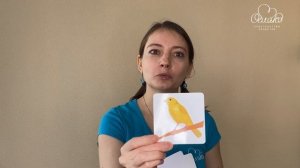 ТРИЗ для детей 3-6 лет "что умеет делать предмет"