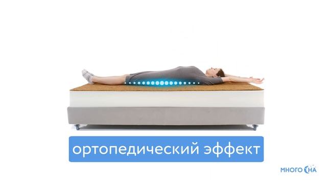 Матрас Dimax Практик Чип Ролл 14 Кокос | Видеообзор от МногоСна
