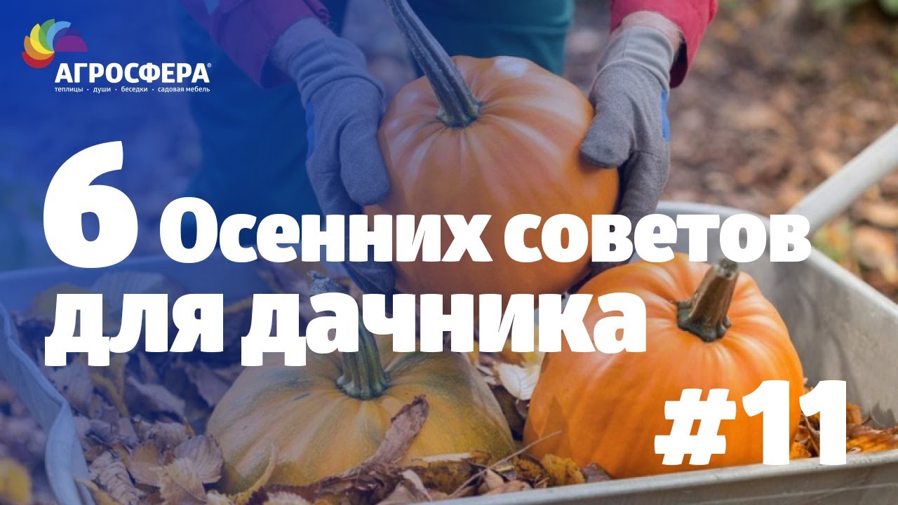 Советы для дачи и сада #11 - осенние рекомендации для садовода / агросфера.рф смотреть онлайн