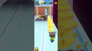 том погоня за золотом!