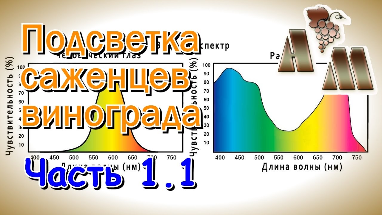 ? Светодиодная подсветка саженцев винограда. Часть 1.1