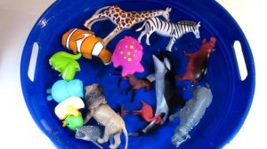 Learn Wild Zoo Animals Names for Kids with Crocodile Animal Toys Blue Water Tub Learn Colors