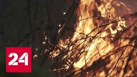 Якутия лидирует по числу лесных пожаров в России - Россия 24 
