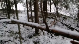 Старинный дедовский способ ловли рябчиков.