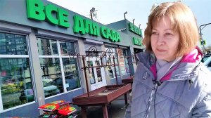 Все для сада и огорода. Через снег пробиваются тюльпаны и нарцисы.