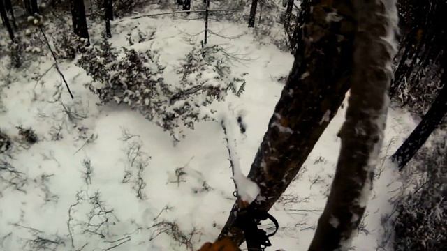 Регион 88 | Пушной промысел. Охота на соболя - 6 часть. | Сезон 2020 | смотреть онлайн