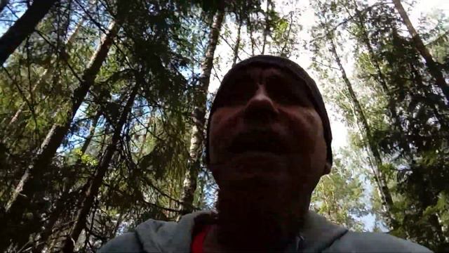 Для познания сущности личности и вещей нужно мало - знать Гуссерля| психолог Рамиль Гарифуллин смотреть онлайн