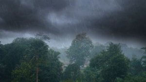 Звуки дождя с громом и молниями, сильный ветер