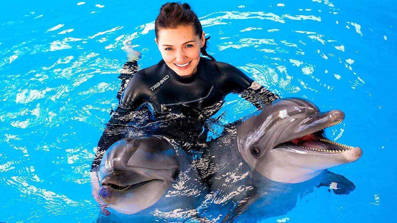 Aksu Dolphinarium Kundu. Antalya Turkey