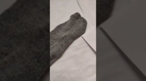 Как сделать маркер для ТЕГА