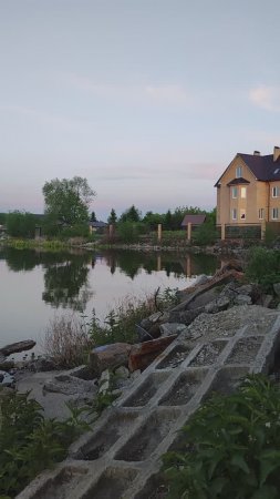 Лягушачий концерт без заявок слушателей