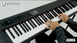 KORG D1 Digital Piano