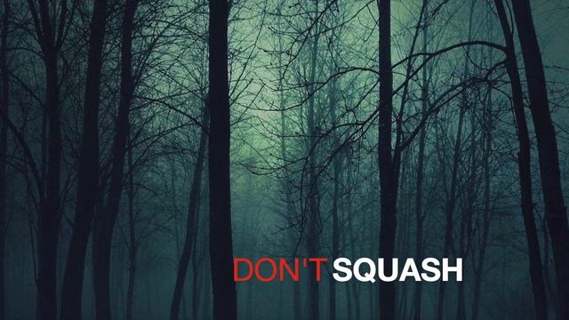 Don't Squash To Main смотреть онлайн
