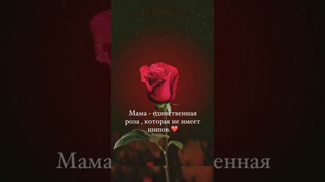 роза без шипов🌹 #mamy #ummy #мама #онажонимм