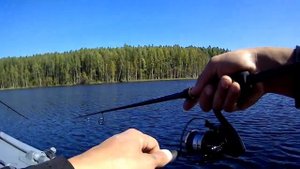 #ковжское #лето #рыбалка Рыбалка в Августе в Вытегорском районе.