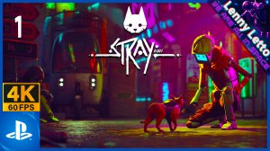 Stray | Прохождение. Часть 1 | PS5 4K 60FPS