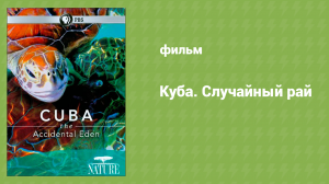 Куба. Случайный рай (документальный фильм, 2010)