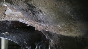 Шкода Йети Обзор, Подготовка, Ремонт