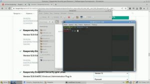 19 Установка антивируса Kaspersky Endpoint Security на AltLinux Workstation