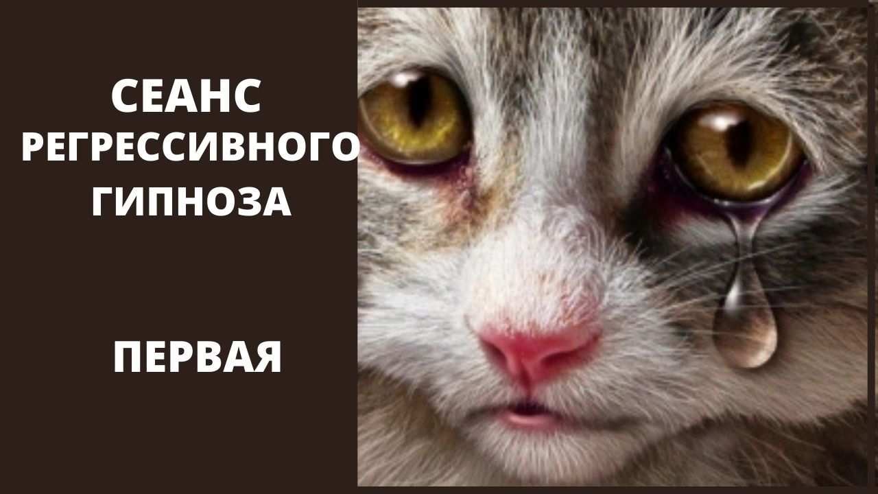 ПЕРВАЯ