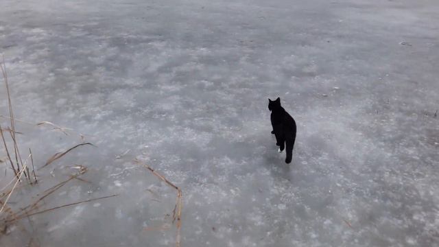 Славянск. 7 марта 2023г. Вечер. смотреть онлайн