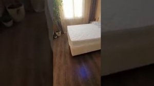 Отзыв о матрасе DreamLine Eco Strong Bonnel и интернет магазине Анатомия сна