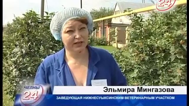 Коровы здоровы: профилактика болезней крупного рогатого скота смотреть онлайн