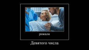 Я его на колбасу порежу !!!!