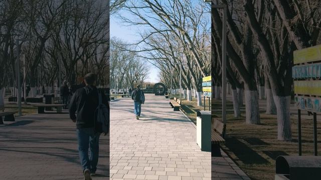 Прогулка по городу | Елена Сергеевна