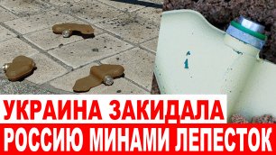 Украина обстреляла Россию запрещенными минами «Лепесток»