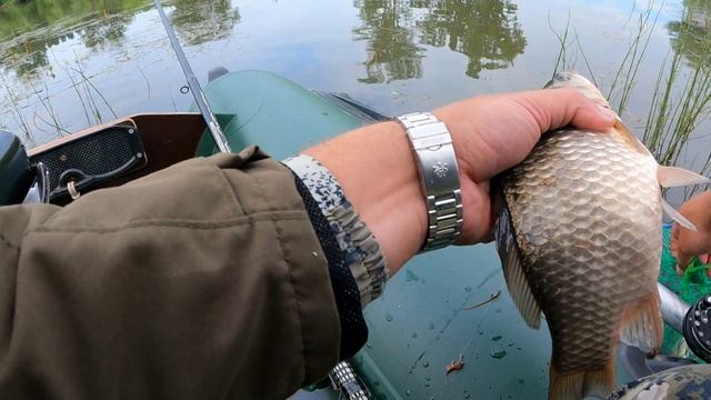 УДОЧКА НА ПРЕДЕЛЕ от этих поклёвок ! смотреть онлайн