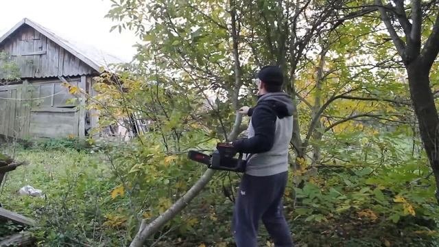 Удовлетворит Любого Эта Мощная Электропила Цепная Днипро М